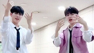 梦幻联动！【loopy+章昊+成韩彬】新歌挑战！