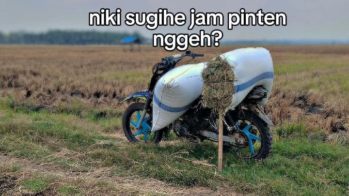 pejuang rupiah