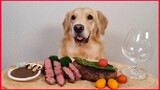 Golden Retriever Dog, Eating Steak & Wine & Asparagus / Dog Mukbang.