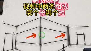 Bạn có tin rằng nhìn thấy chưa chắc đã tin không?