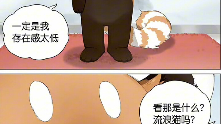 【请叫我小熊猫】第七集