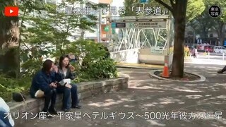 1385【表参道】東京写真