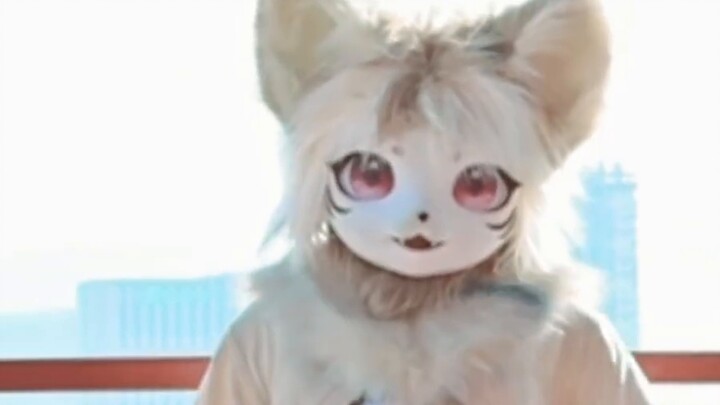 【Vertical screen】Close-up look at cat♥Super cute Poppy