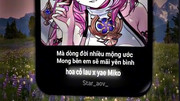 Hoa cỏ lau X Uae miko