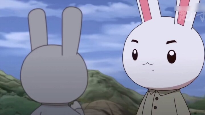 Can you answer all the rabbit's secret codes fluently?