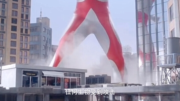 《奥特九大美德》快来围观