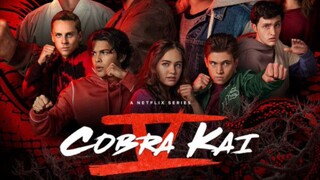 Cobra Kai Season 4 Episode 1 In Hindi Dub