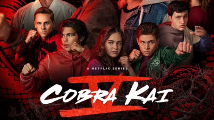 Cobra Kai Season 4 Episode 8 In Hindi Dub