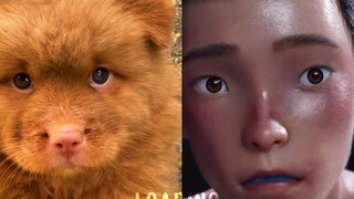 Evidence that Ajuan is a Tusong dog