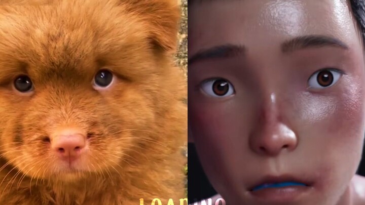 Evidence that Ajuan is a Tusong dog