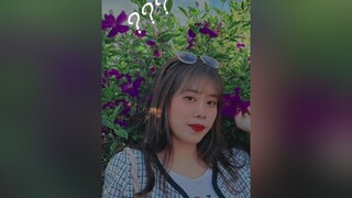 Mèo Cute ❤❤❤❤❤ meocon99 meocute thugian vuive tuong_tac hanhphuc yeuthuong cuoituanvuive