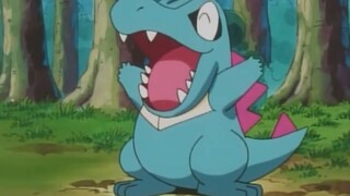 It's our mud-digging treasure - the little saw crocodile