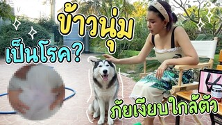 ข้าวนุ่มเกือบรักษาไม่ทัน ภัยเงียบใกล้ตัว - ข้าวนึ่ง & เดอะแก๊ง