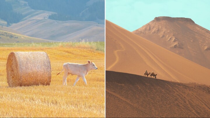 Jadi, sebenarnya apa sih makna dari sebuah perjalanan?