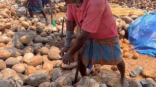 Making coconut thread.