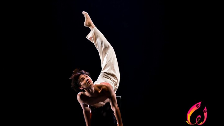 Karya Piala Taoli ke-13 "Burung Tanpa Kaki" dibawakan oleh Yang Shunqi (Akademi Tari Beijing)