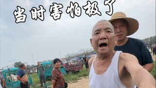 A thrilling sheep-selling experience