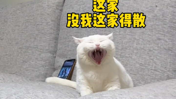 أمي بدأت تقع في الفخ تدريجيًا!