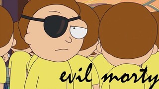 [Rick and Morty] I Am The Evil Morty, Also The Ricky Morty (Edit)