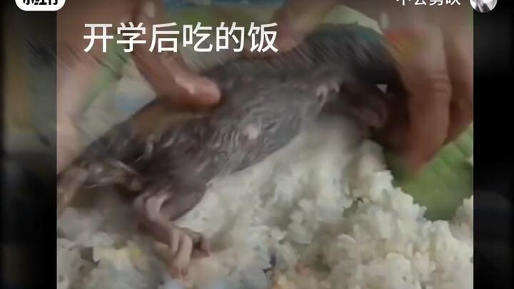 我不要开学！！！