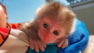 Morning Sunshine! Tiny adorable Luca enjoys getting sunlight in the early morning for the first time