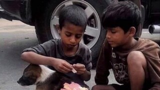 "Look, this world is so gentle~"