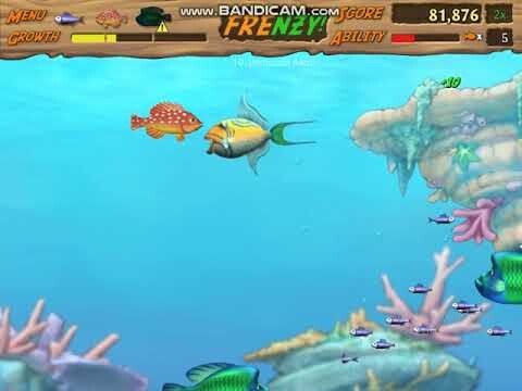 Feeding Fenzy || Trêu cá mập và cái kết...
