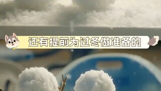 老板：我只是个做小孩学步鞋的啊求善待啊