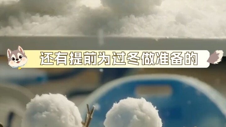 老板：我只是个做小孩学步鞋的啊求善待啊