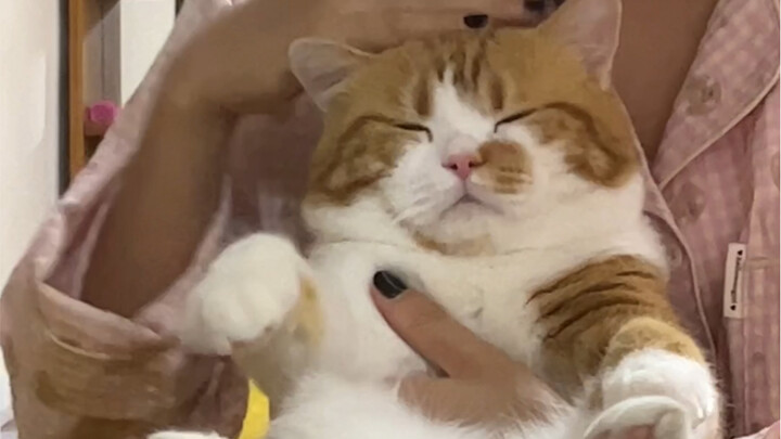 Là kẹo dẻo gấu nhỏ QQ đó