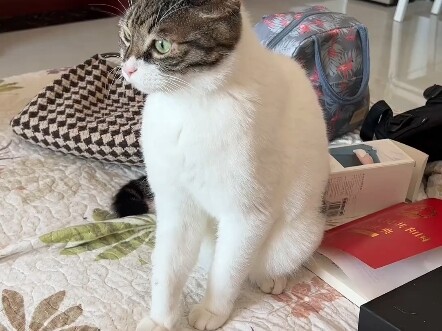 สกินหายาก!