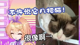主播你家猫好像戟把猫啊😰你才几把猫！你几把人😡【吉诺儿kino】