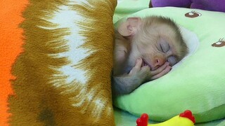 So Adorable! little boy maki Deep dream soundly asleep Next play with mom and drink milk