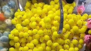 还以为抓到一个就够惨的了