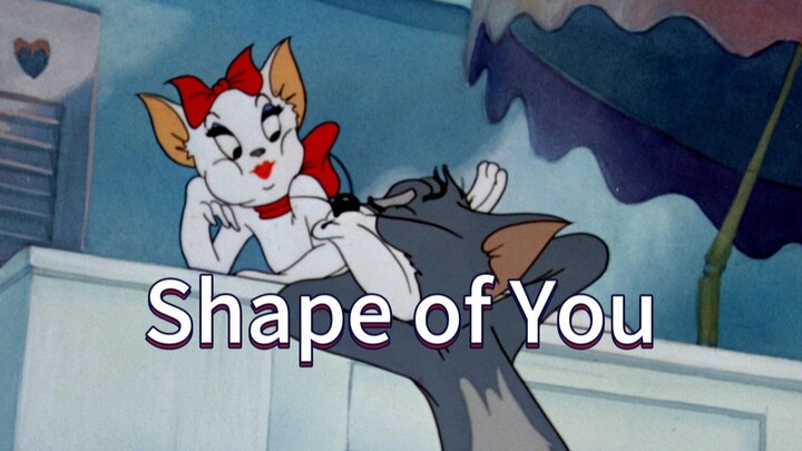 《รูปร่างของคุณ》