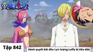 One Piece Tập 842 | Hành quyết bắt đầu Lực lượng Luffy bị tiêu diệt | Đảo Hải Tặc Tóm Tắt Anime