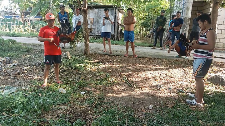 talo nagantihan pa