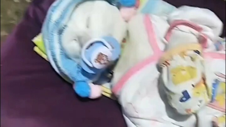 SOLUSI ANAK BERGIZI #demikanimal #dubbing #dubbinghewan #anime #kucinglucu #korveleon