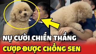 Nụ cười CHIẾN THẮNG của bé Poodle khi CƯỚP được CHỒNG của Sen 😂 | Yêu Lu