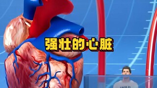 لا يُصدق! هل يمكن للقلب أن يستمر في النبض بشكل مستقل بعد إزالته؟ كشف أسرار قلب الإنسان!