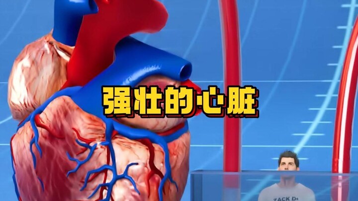 เหลือเชื่อ! หัวใจที่ถูกนำออกมาแล้วยังเต้นได้เอง? เปิดเผยความลับของหัวใจมนุษย์!