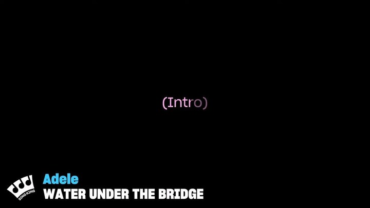 Adele - Water Under the Bridge (Karaoke Version)