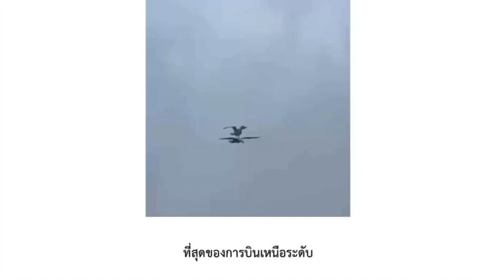 ที่สุดของการบินแบบเหนือระดับ