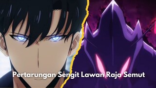 Sung Jinwo Lawan Raja Semut, Pertarungan sengit!! 😱