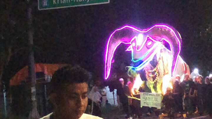 domba juara 1
