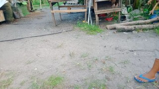 spar .. white kilso vs talisay