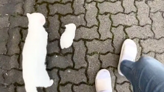 Mom is white, just follow the white one
