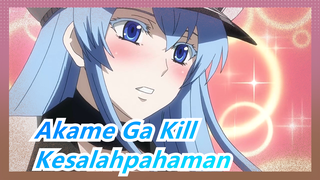 Akame Ga Kill|[Tatsumi&Esdese] Momen Kesalahpahaman