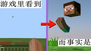 [MC动画]而事实是：