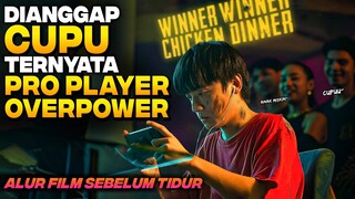 DIHINA KARENA DIANGGAP CUMA GAMER PENGANGGURAN BODOH TERNYATA PRO PLAYER OVERPOWER Alur Cerita Film